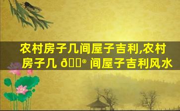 农村房子几间屋子吉利,农村房子几 💮 间屋子吉利风水